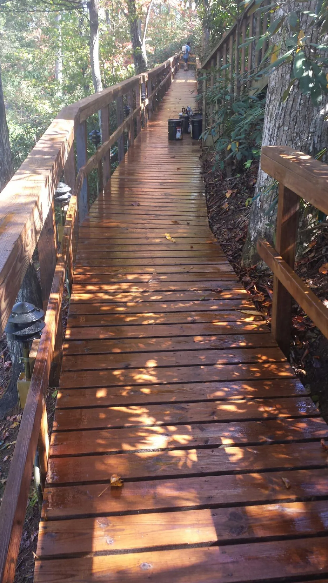 Freshly stained wood walkway winding through the woods in North Attleboro